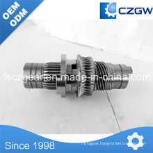 High Precision Customized Transmission Gear Worm Gear for Various Machinery